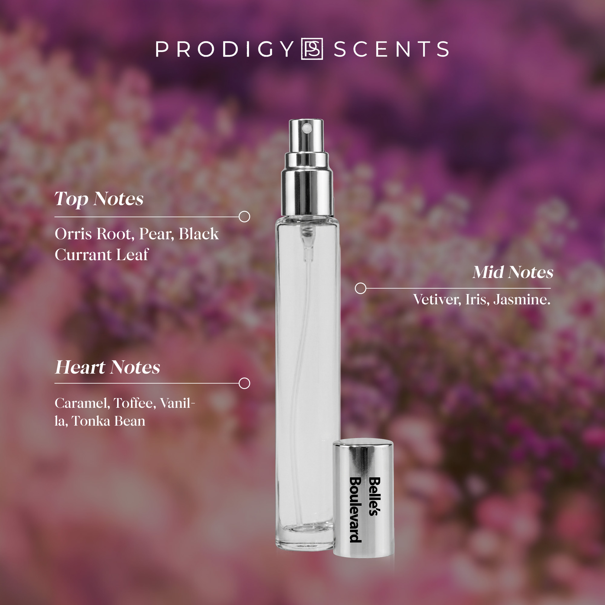 Prodigy Scents Belle's Boulevard Eau de Parfum For Women - 1.14 fl oz with orris root, pear, vetiver, jasmine, caramel & vanilla perfume - Image 6